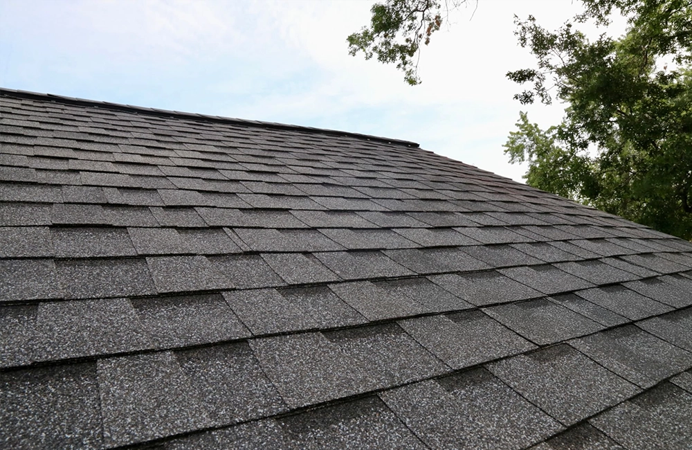 Asphalt Shingles