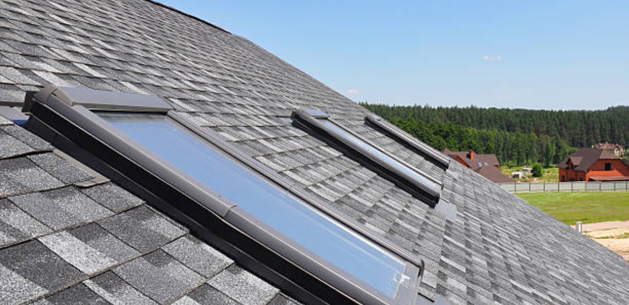 Roof Windows and Skylights