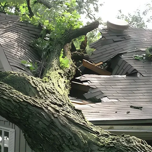 Emergency Roof Fixes