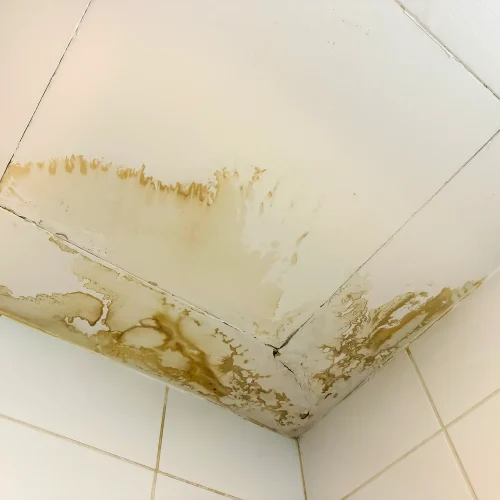 Emergency-Roof-Leak-Repair