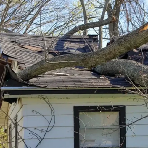 Roof Repairs and Emergency Roof Fixes