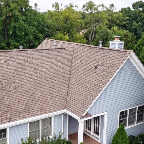 Shingle-Maintenance